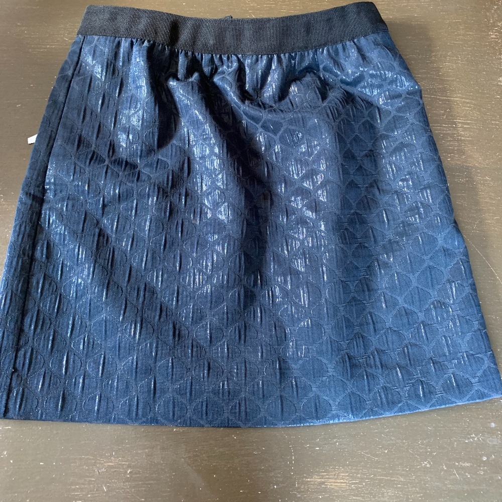 Ann Taylor loft sparkly mini with pockets. Never worn